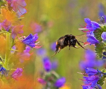 Как-то в мае на балконе...