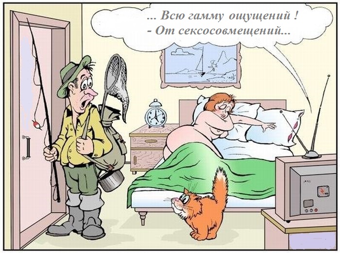Жалко редко чувствовать любовь. шут