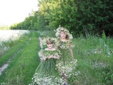 Мысли о родине