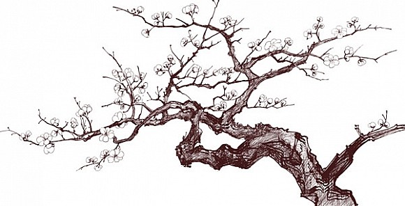 слабость 15. 04. 2017