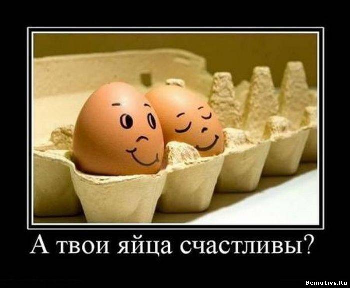 Не яйца красят человека - 3