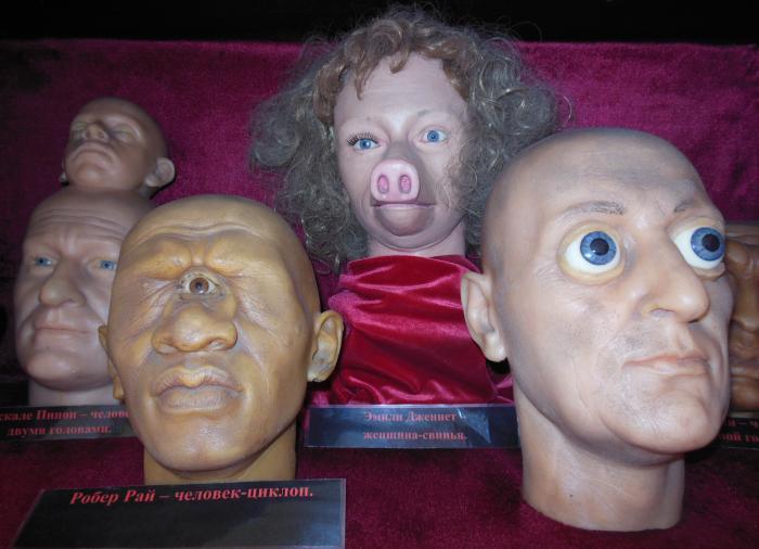 Просыпаясь в музее кукол...