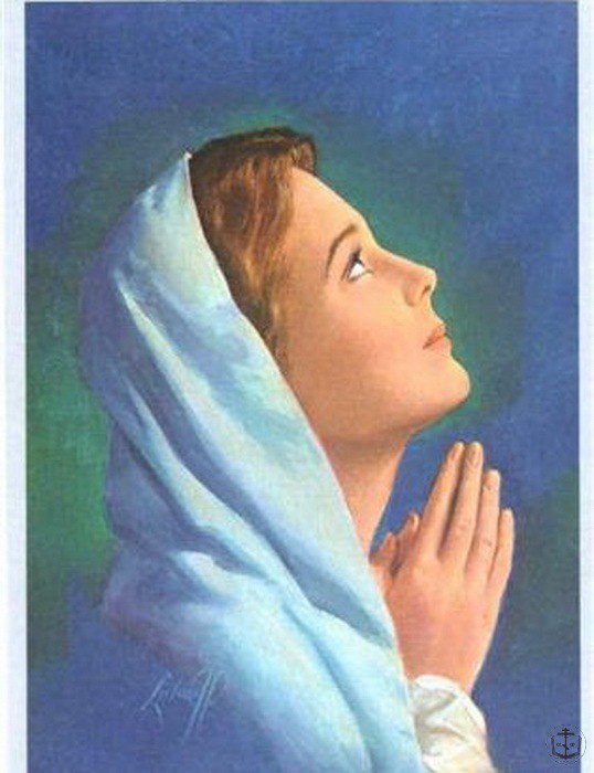 Мы, только гости