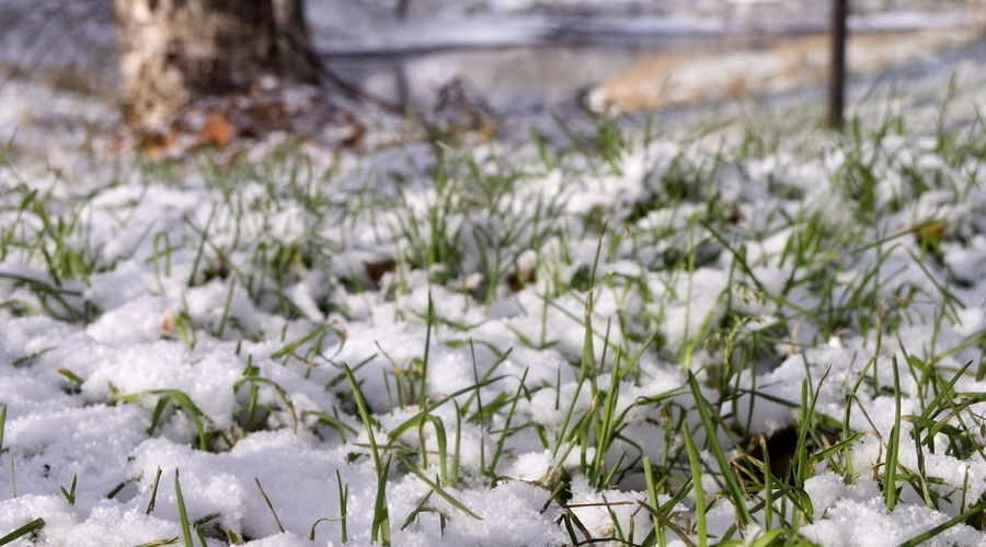 День Светлой Пасхи!