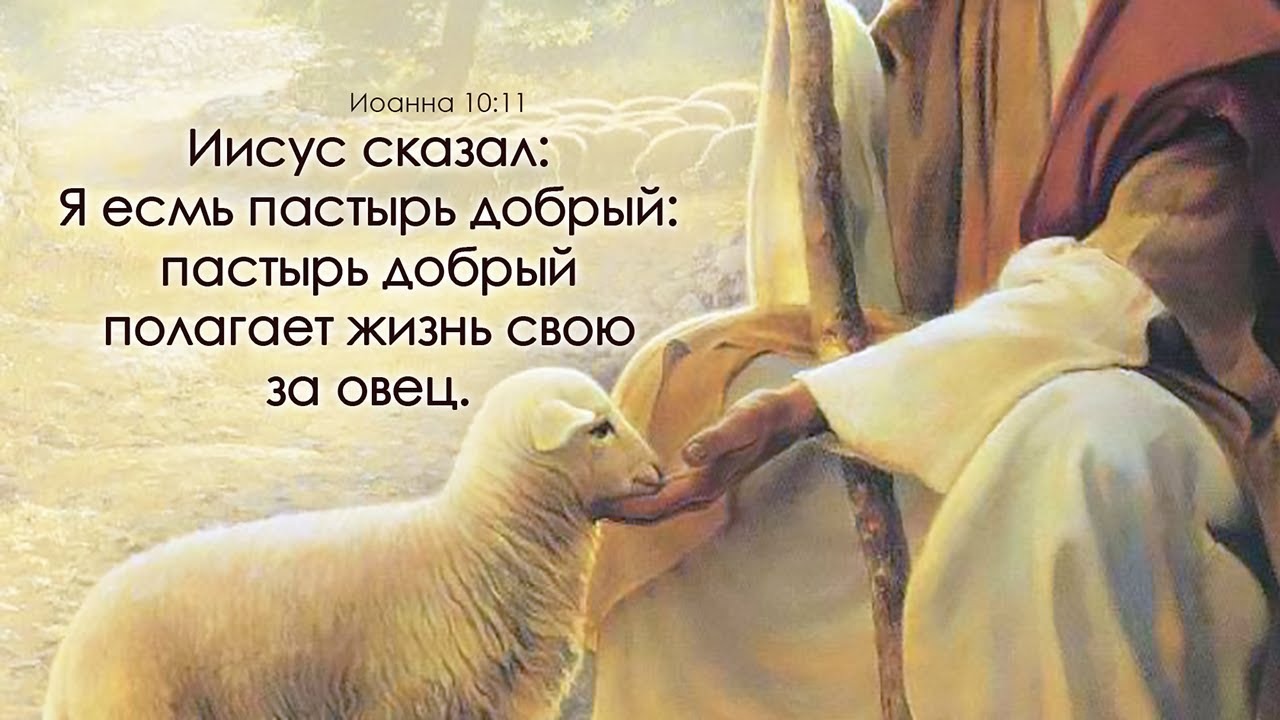 Имейте ввиду что иисус существовал. Я есмь Пастырь добрый. Пастырь добрый душу свою полагает за овцы. Господь Пастырь. Притчи из Библии картинки.