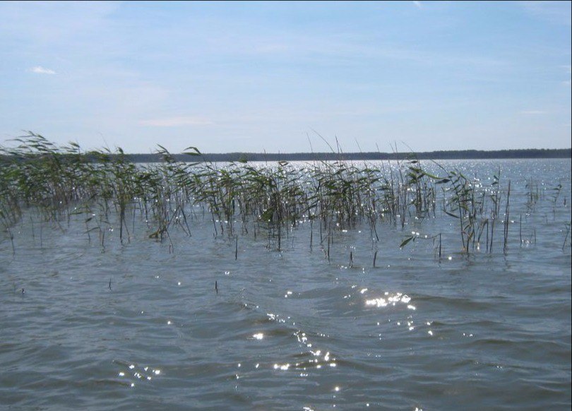 Запас с привкусом любви