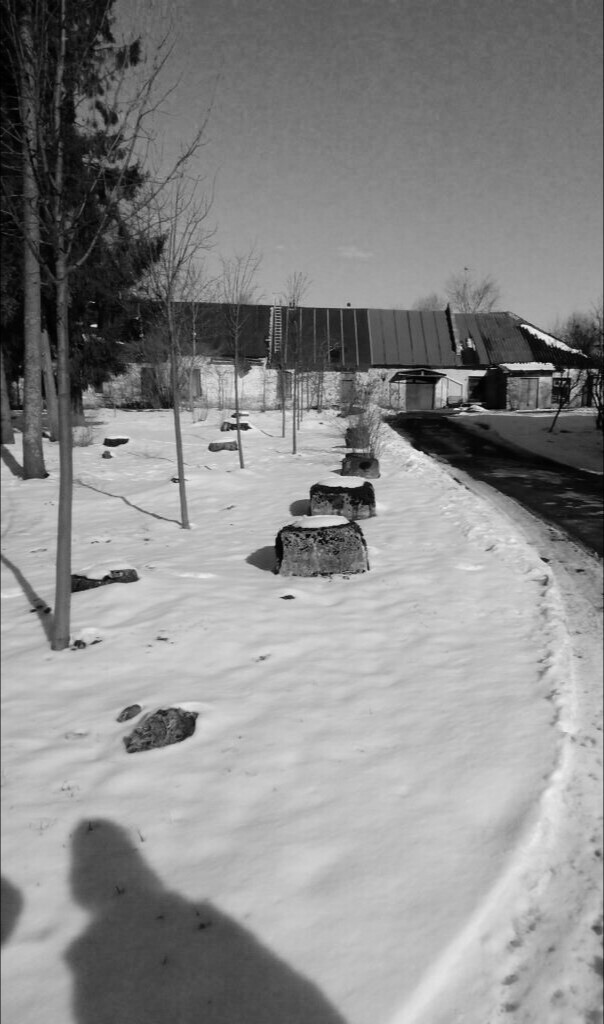 Дом у дороги