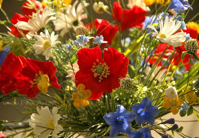 Полевые цветы