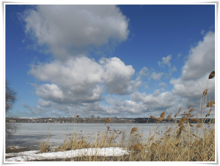 9 апреля - Матрена-настовица, полурепница