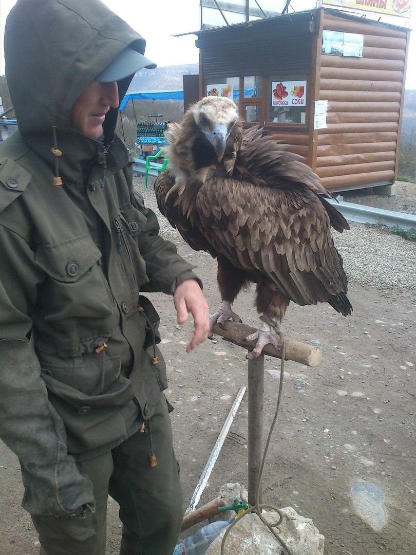 С Севера - на Юг