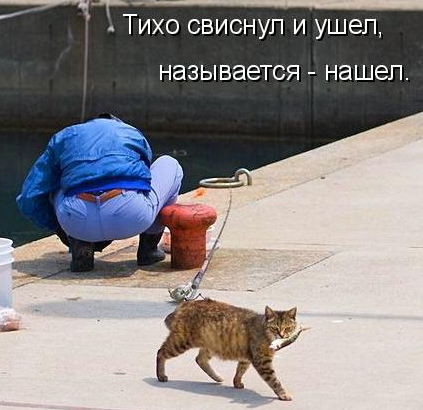 Тихонько свистнул!