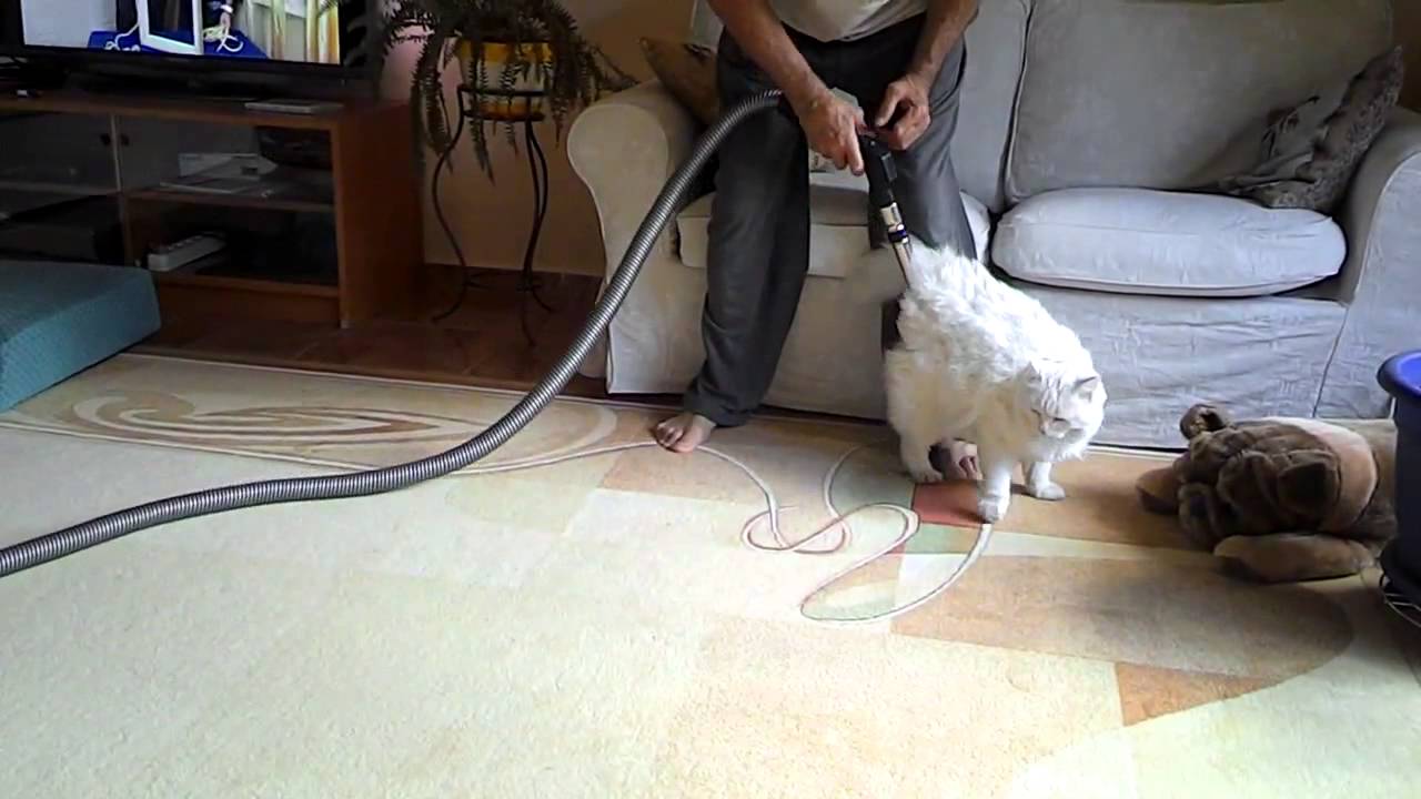 переписка с другом