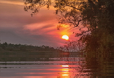 На вечерней зорьке