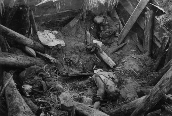 Подснежники