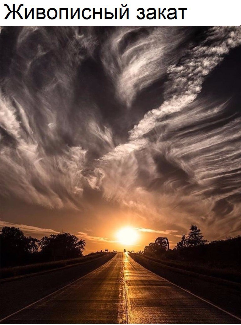 Сны Генриетты