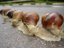 Хватать бы звёзды с неба