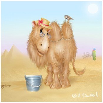 Подари мне верблюда