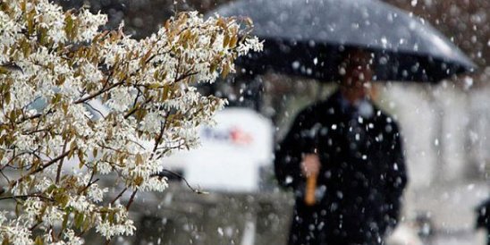 Сюрприз от Деда Мороза