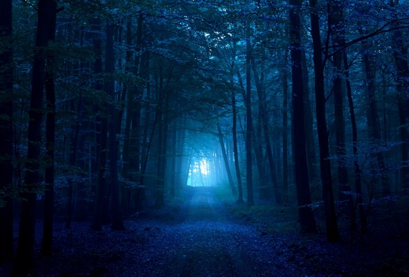 Ломая ветки, он бежал по лесу