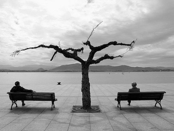 Чужие ладони