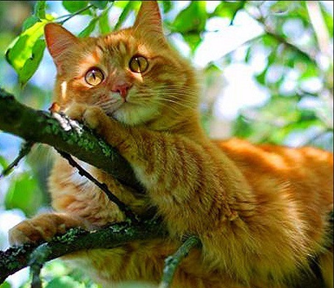 Верю, жду, встречаю!