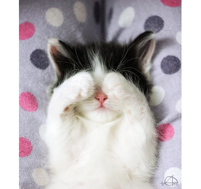 Картинки смешные смущение