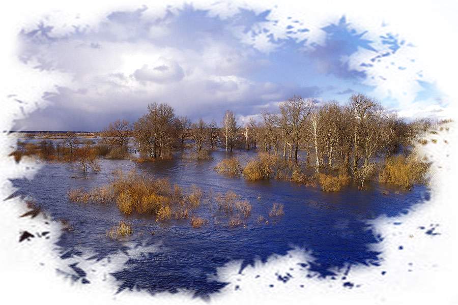 Ох и вредная ты красотка