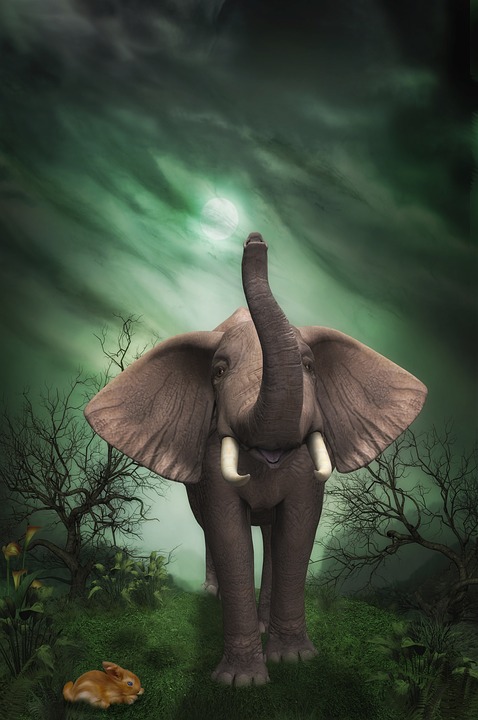 Заяц и Слон