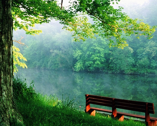 Не троньте тишину