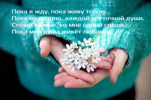 Спеши ко мне...