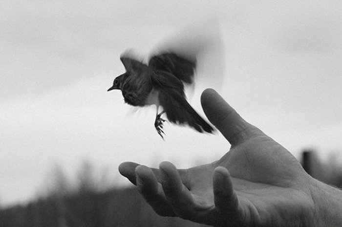 Когда уже все песни спеты