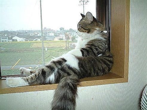 Скорей бы на дачу