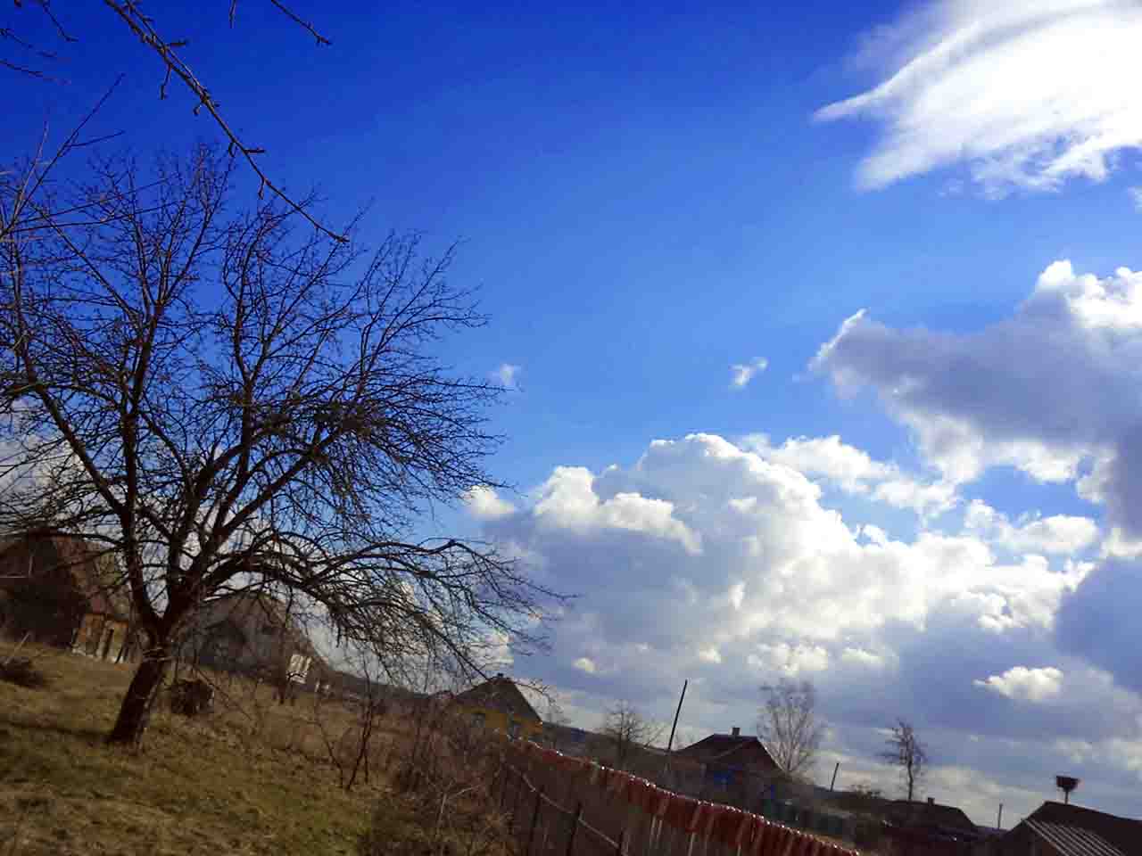 В норах мышы ж поздыхалы бы,