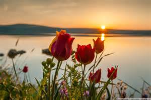 Ты не рви мне сердце, грусть!