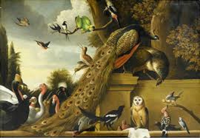 Утренний концерт