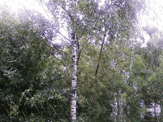 Обними, разлука, дождями...