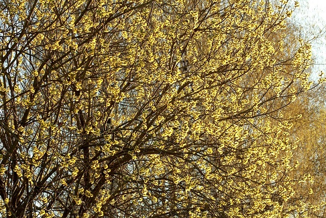 Что-то стала я такою странною...