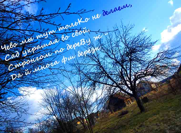 Способность к восприятию, Со-Знанье