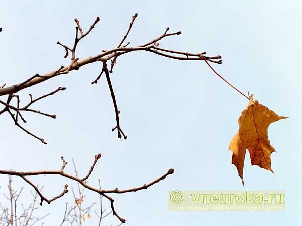 Последний лист слетел в траву