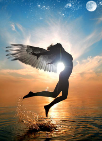 крыло 29. 04. 2017