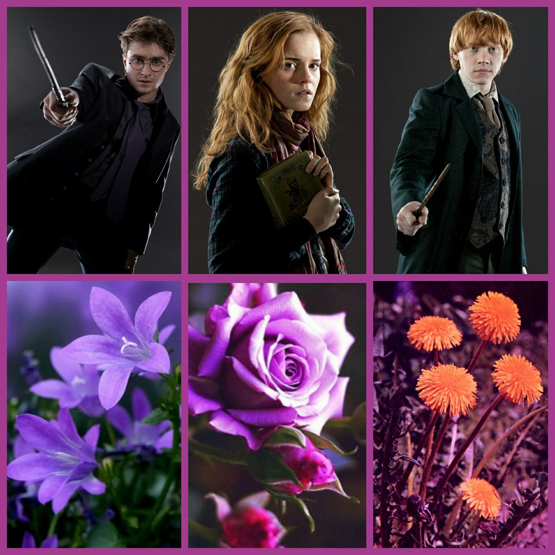 Venomous Tentacula Hogwarts aesthetic, Herbology, Plants