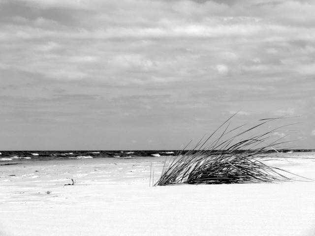 Малое в большом - 2017, апрель