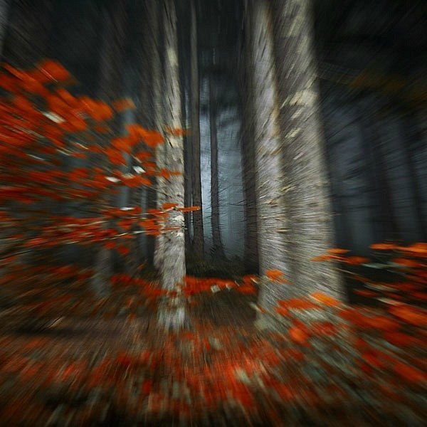 Пишу тебе любимой