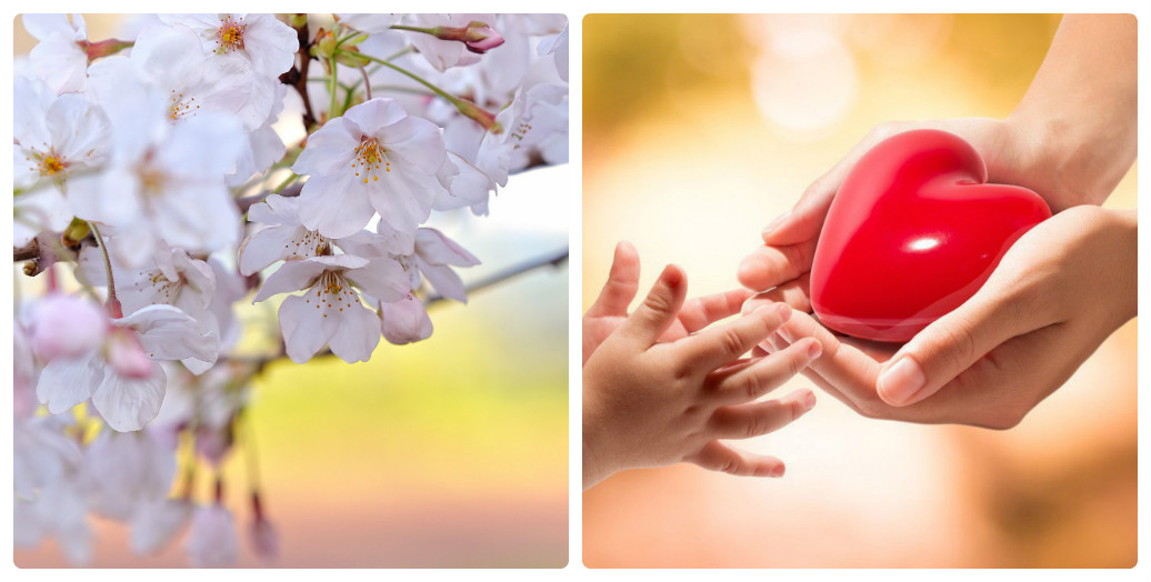 С Днём рождения, сынок!