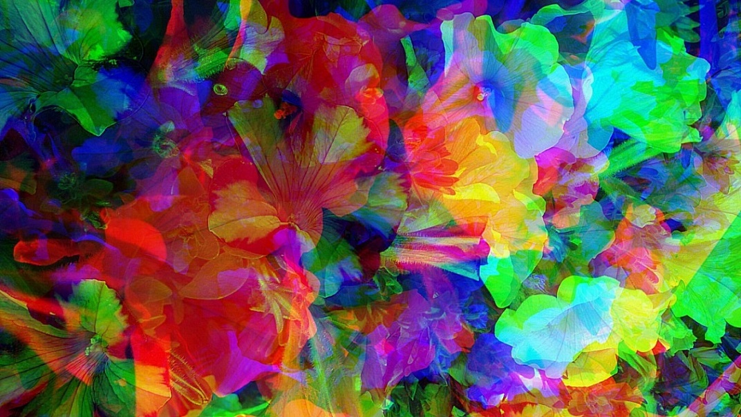 Гражданочка постойте?!