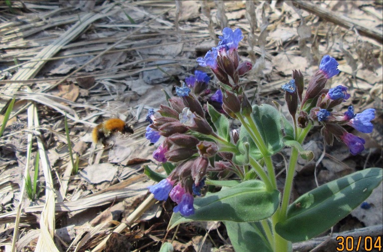 Какой чудесный день!
