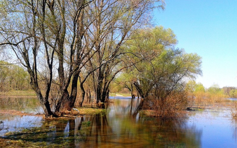 Весна идёт!
