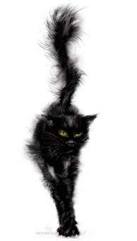 Ступала Гордою Багирой...