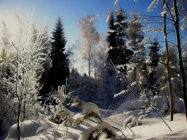 Поутихли ветра