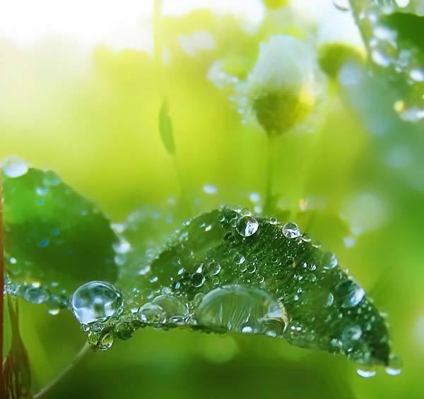 Свет в темноте